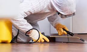 Best Real Estate Pest Inspections  in Granite Falls, NC